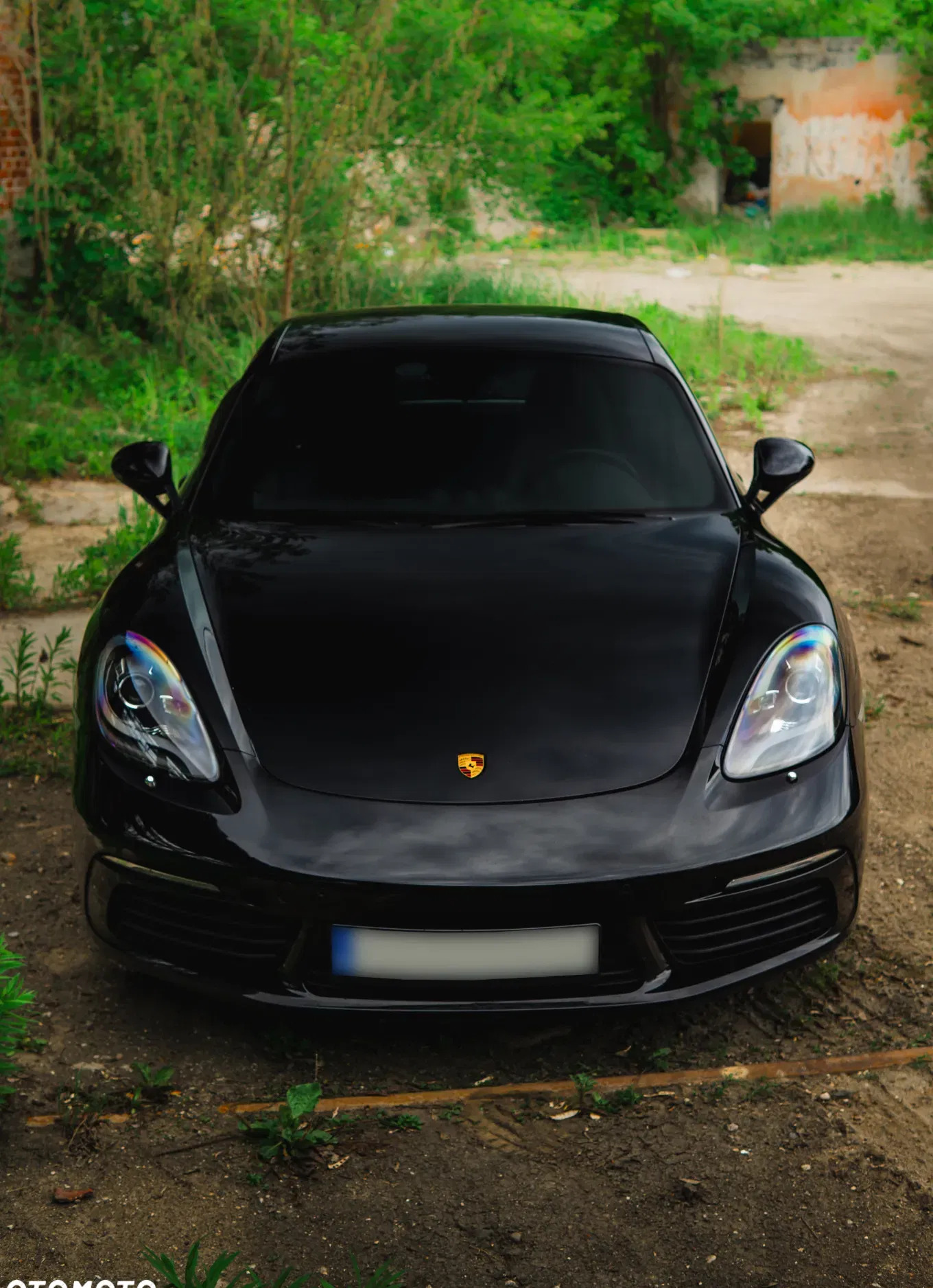 porsche 718 cayman Porsche 718 Cayman cena 235000 przebieg: 61000, rok produkcji 2019 z Żary